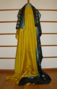 sari-3763