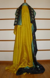 sari-3763