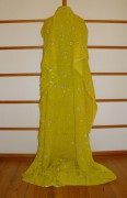 sari-3768
