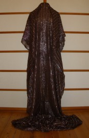 sari-3881