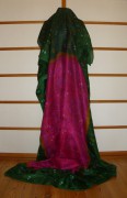 sari-4110