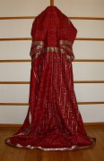 sari-4121