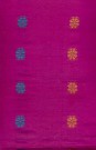 sari-6311-1