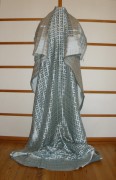 sari-1902