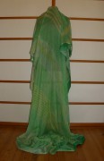 sari-6332