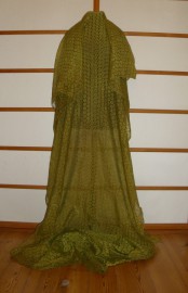 sari-6339
