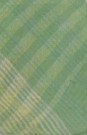 sari-6332-1