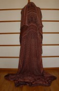 sari-4160