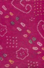 sari-4162-1