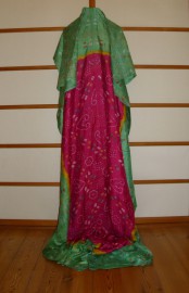 sari-4162
