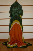 sari-4173