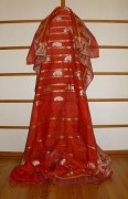 sari-4175