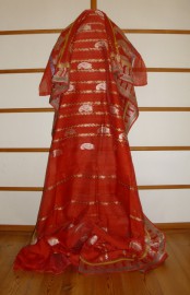 sari-4175