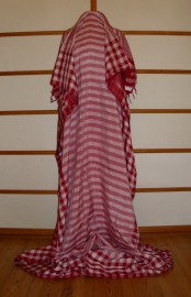 sari-4180