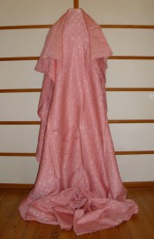sari-4181