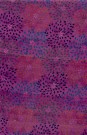 sari-4309-1