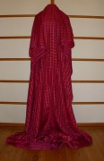 sari-4201
