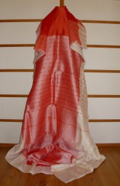 sari-4271