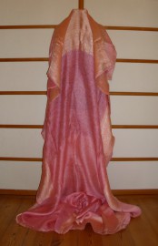sari-4272