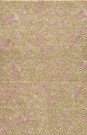 sari-4352-1