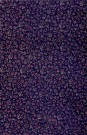 sari-4419-1