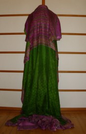 sari-4421