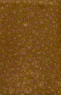 sari-4452-1