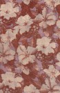 sari-4459-1