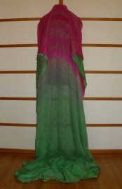 sari-4491