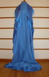 sari-4523