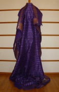 sari-4536