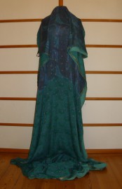 sari-4538
