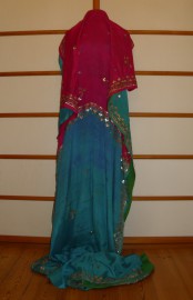 sari-4543