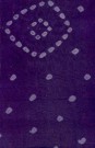 sari-4594-1