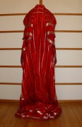 sari-4919