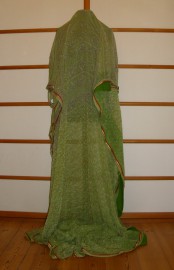sari-4920