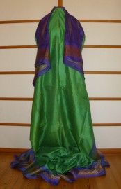 sari-4923