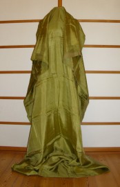 sari-4924