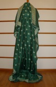 sari-4933