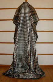 sari-4937