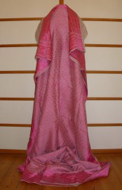 sari-4945