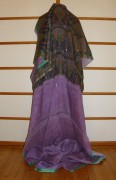 sari-4967