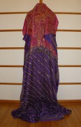 sari-4974