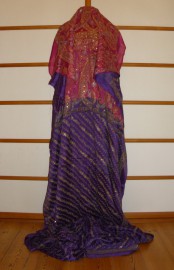 sari-4974