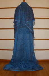 sari-4570