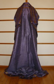 sari-4574