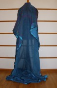 sari-4579