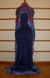 sari-4594