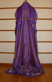 sari-4611