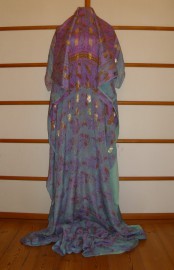 sari-4667